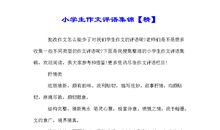 小学生运动会作文评语2016