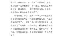 根鸟读后感100字