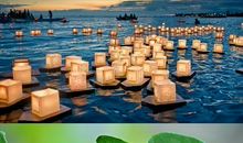 阳光温暖，岁月静好