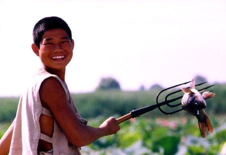 关于“小兵张嘎”的思考