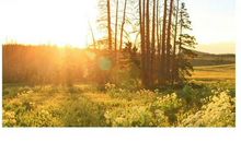 汪国真：但是，我更乐意