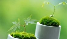 一生必读：60句最给力励志名言