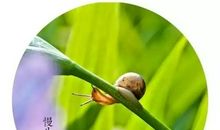 人生九气、九局、九品、九不懂、九不可