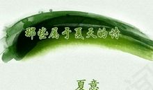 歌颂夏天的诗句