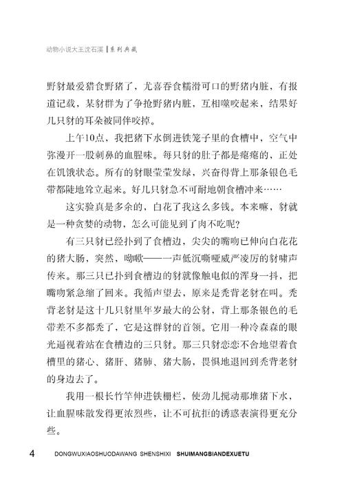 睡在蟒蛇旁边的雪兔