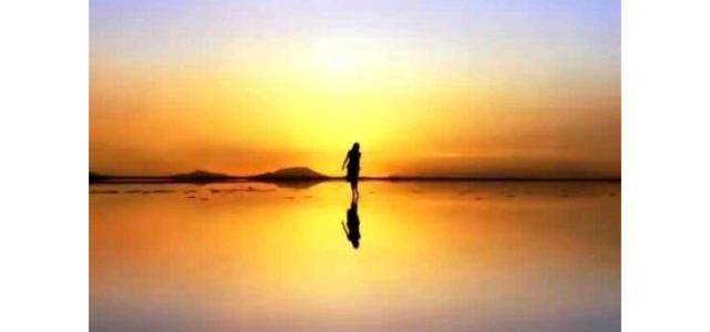 生命的价值在哪里？