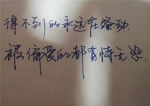 15个美丽的句子