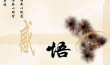 感悟人生的句子（三）