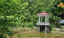 杜甫：九日蓝田崔氏庄