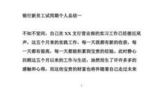 见习期个人工作自我总结