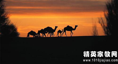 人生有一个幸福的梦想—读完《骆驼祥子》后的印象