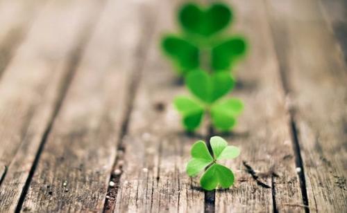 如何拥有人生的荣耀