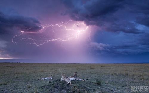 描述闪电的句子