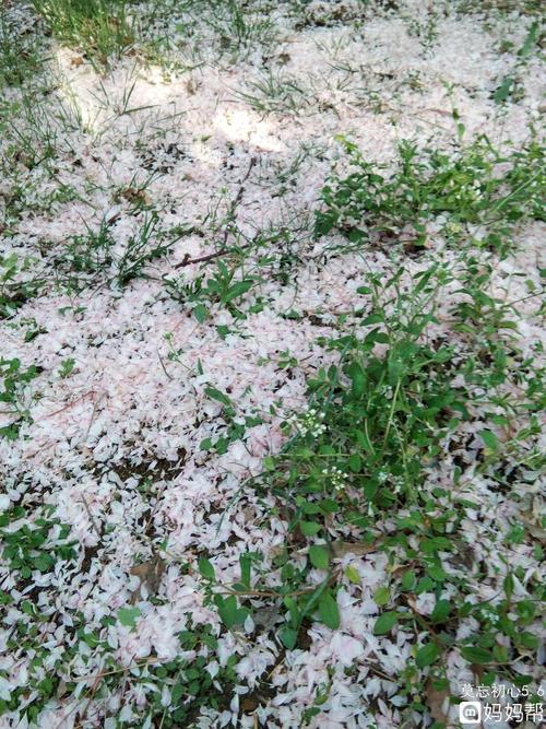 落在同一地方的漂亮句子