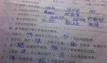 含有动物的成语