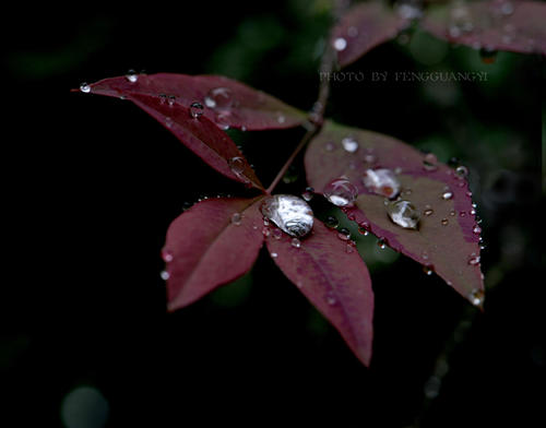 滋润无声的全诗