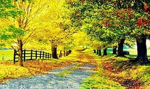 关于冬天和秋天景色的古诗句