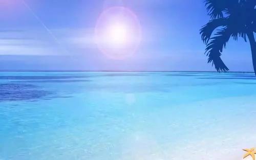 美丽的句子描述大海