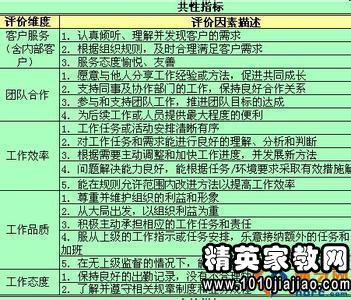 选定的员工绩效评估