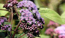 为什么我们喜欢把火撒在亲人身上？