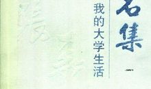 《我的大学》读后感
