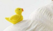 圣经中忏悔的句子