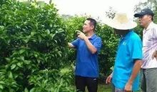 意味深长怎么造句