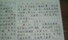 运动会作文评语