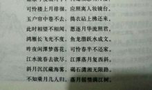 赞美春天的句子大全