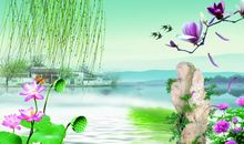 写景作文：街道的变化