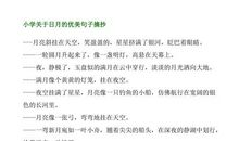 小时代优美句子摘抄