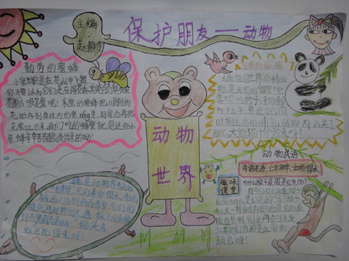 保护动植物的口号