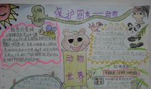 保护动植物的宣传语