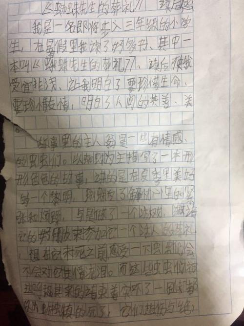 读完《我们是云乐队》后的感想