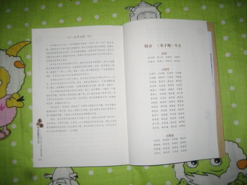 关于阅读《智慧的外表是仁慈》的思考