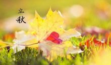 关于养生的优美句子