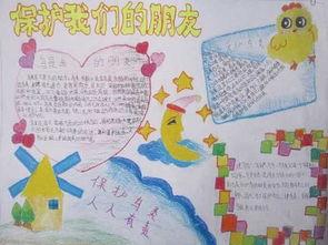 爱情鸟和鸟类的口号