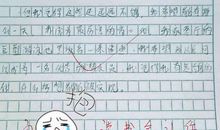 关于家长作文评语