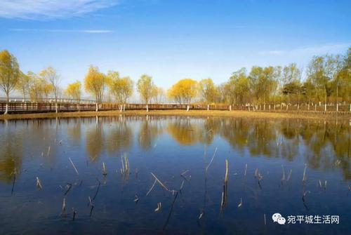 王同照：鹿沟小月