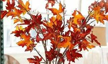 王统照：秋林晚步