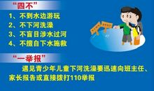 关于生命的故事