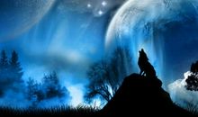 狼图腾优美句子赏析