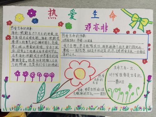 热爱生活的故事珍爱生活的故事