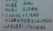 形容不一样的成语