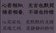 关于相知的句子