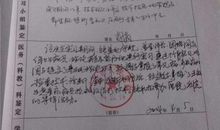 个人鉴定评语大全