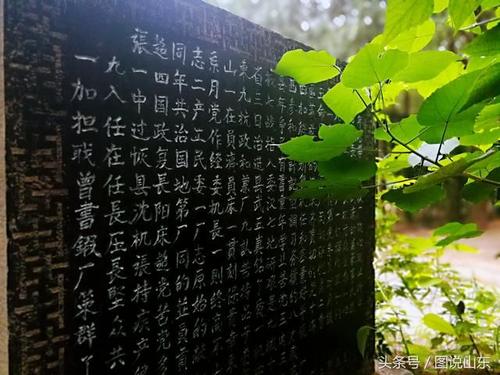 王同照:小雨山游