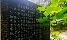 王统照：微雨中的山游