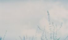 有志者事竟成造句