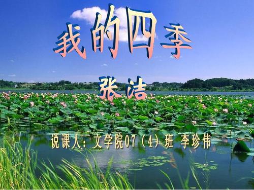 张杰：我的四个季节